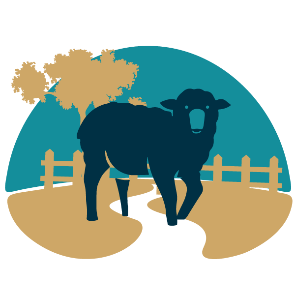 Ram